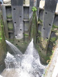 155563_109215445814033_3993748_n